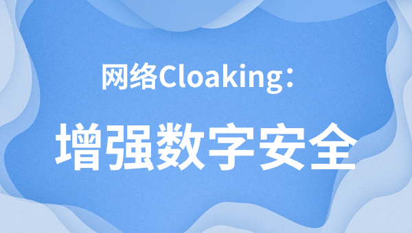 网络Cloaking：增强数字安全