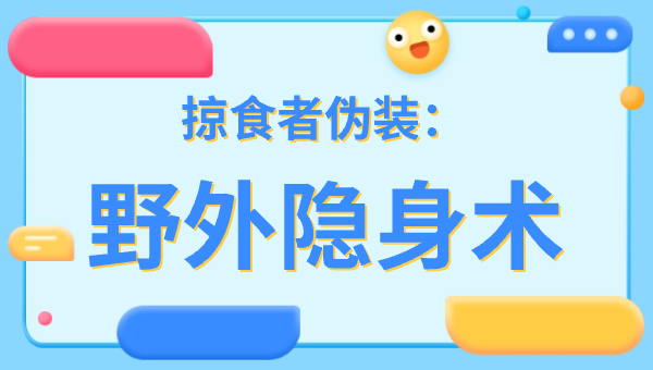 掠食者伪装：野外隐身术